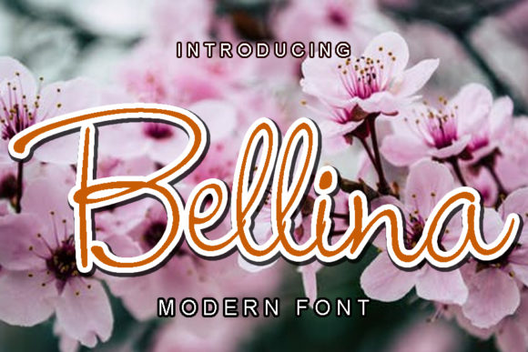 Bellina: A Romantic Script Font for Modern Web Design