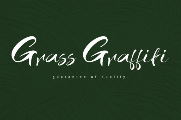 Grass Graffiti: A Chic Handwritten Font for Crafters